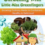 How to Grow Culinary Herbs In Containers Indoors and Outdoors - ebook Review