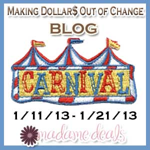 Blog Carnival Coach Handbag Contest