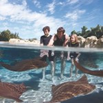 SAVE Big with Deals & Discounts in San Antonio