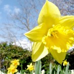 How To Get Your Kids Making The Most Of Spring!