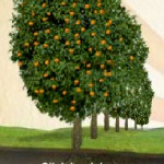 Win Free Juice For a Year From Florida’s Natural