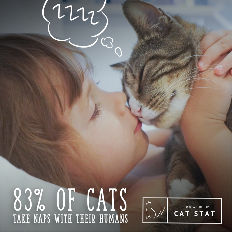 Meow Mix Cat Stat