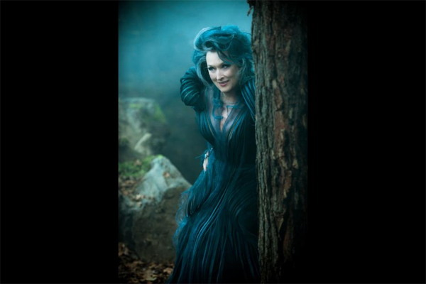 Meryl Streep Witch Costume Into the Woods