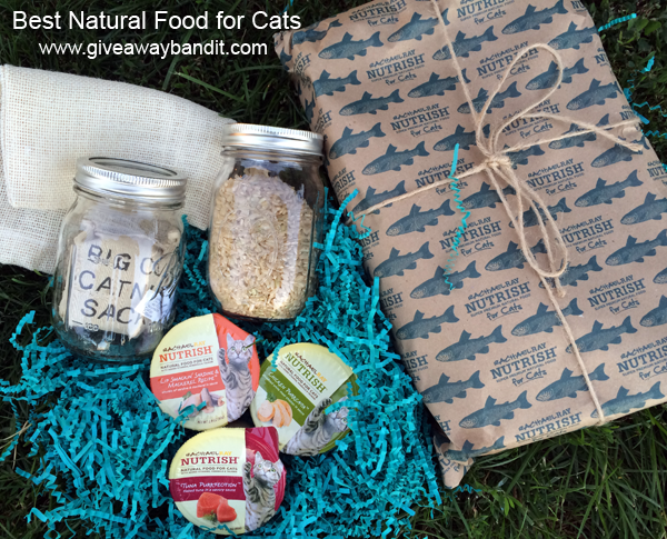 Best Natural Food for Cats